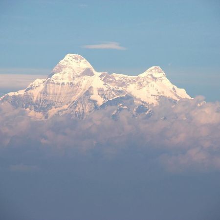 Nest And Hives Motiapathar/Mukteshwar Exterior foto