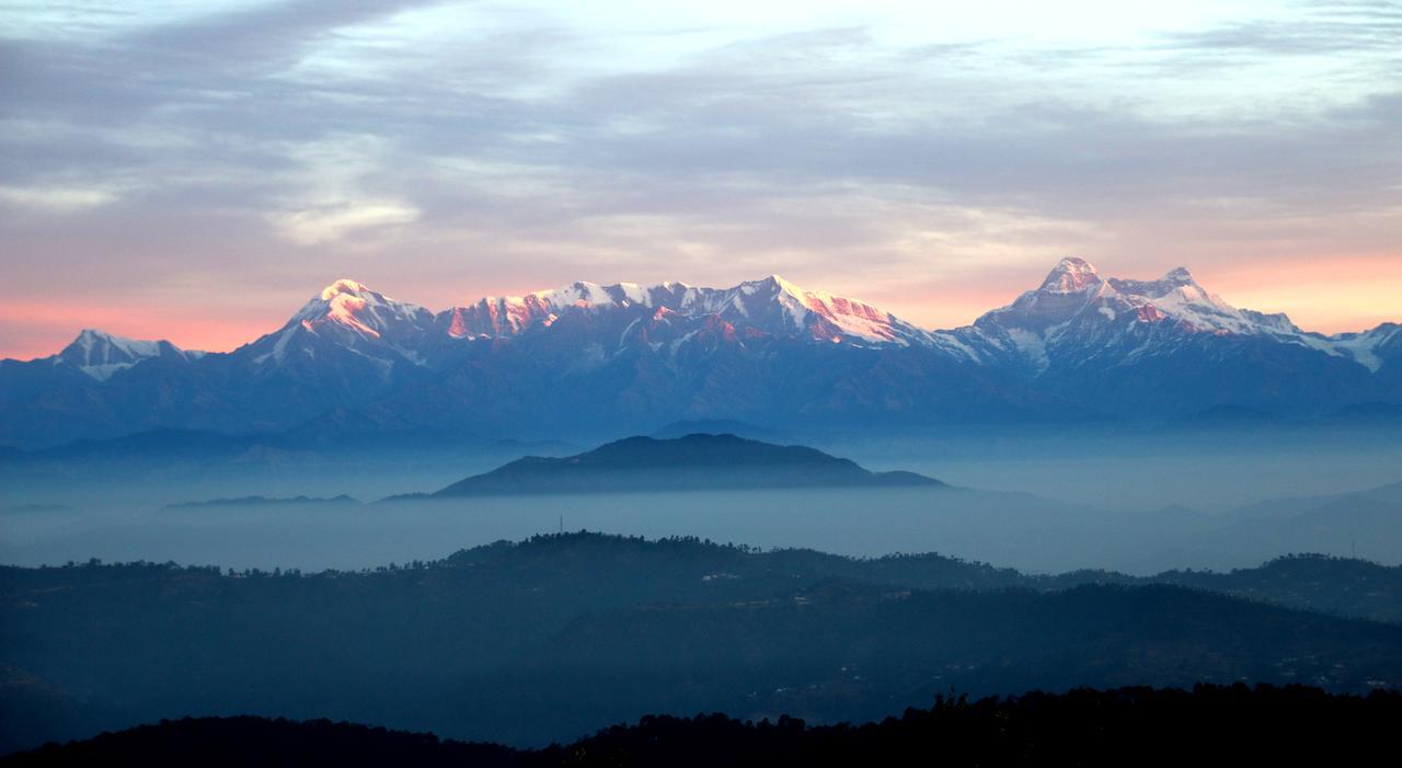 Nest And Hives Motiapathar/Mukteshwar Exterior foto