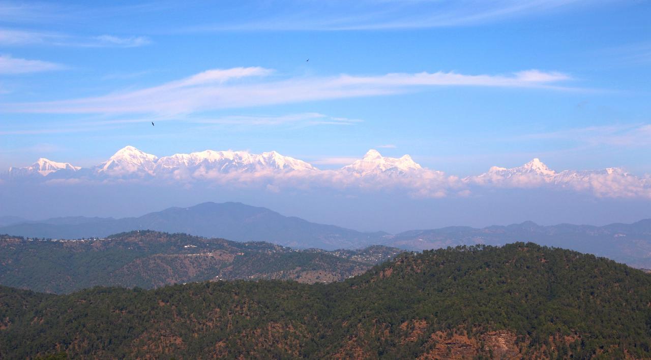 Nest And Hives Motiapathar/Mukteshwar Exterior foto